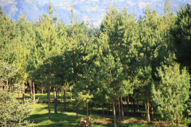 aventura em zacatlan